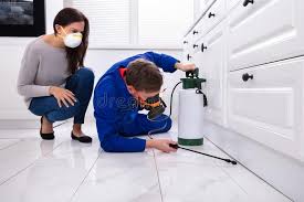 Best Pest Prevention Services  in USA